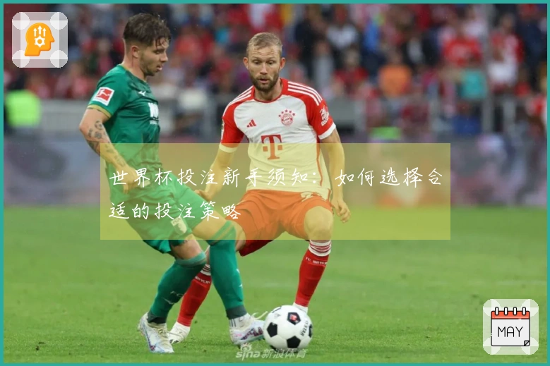 世界杯投注新手须知：如何选择合适的投注策略