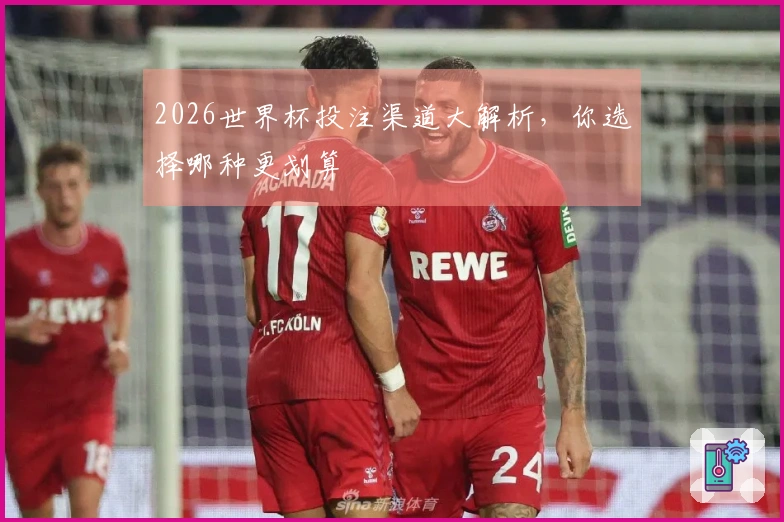 2026世界杯投注渠道大解析，你选择哪种更划算