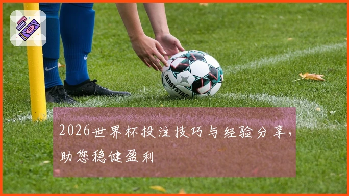 2026世界杯投注技巧与经验分享，助您稳健盈利