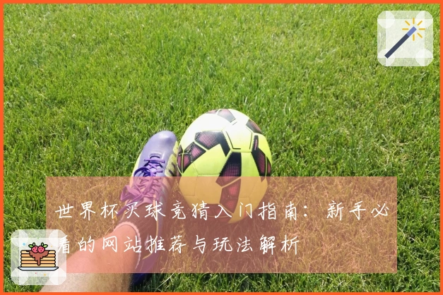 世界杯买球竞猜入门指南：新手必看的网站推荐与玩法解析