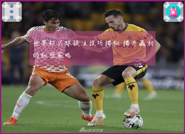 世界杯买球投注技巧揭秘 揭开赢利的秘密策略