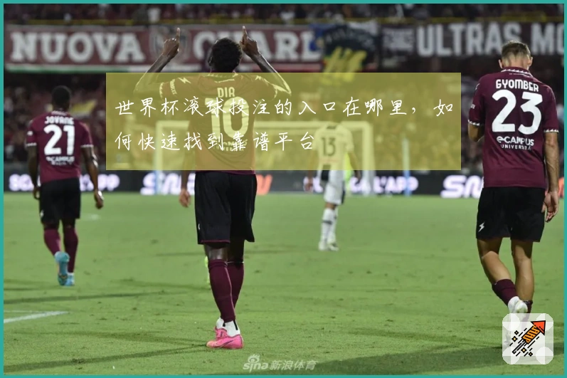 世界杯滚球投注的入口在哪里，如何快速找到靠谱平台