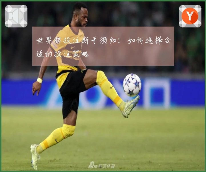 世界杯投注新手须知：如何选择合适的投注策略