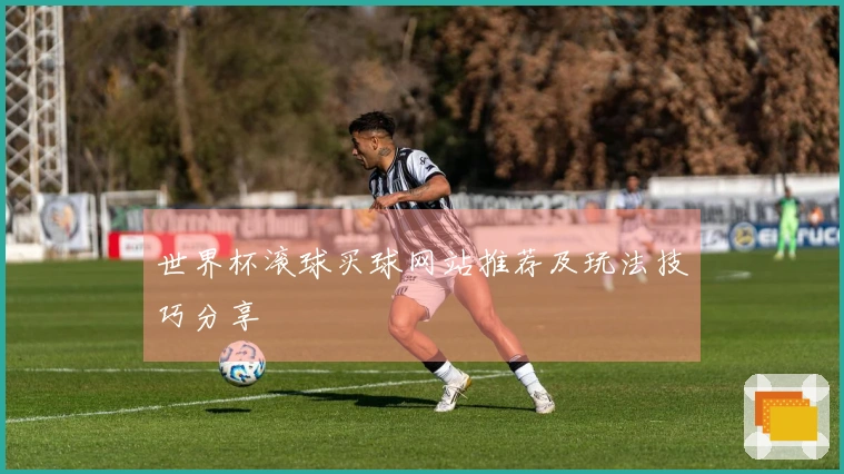 世界杯滚球买球网站推荐及玩法技巧分享