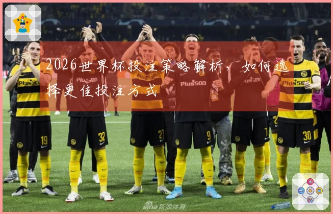 2026世界杯投注策略解析，如何选择更佳投注方式