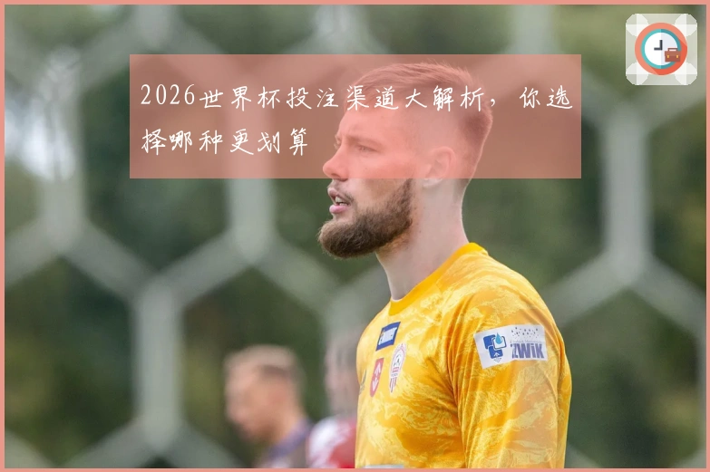 2026世界杯投注渠道大解析，你选择哪种更划算