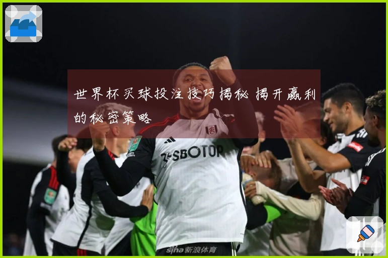 世界杯买球投注技巧揭秘 揭开赢利的秘密策略