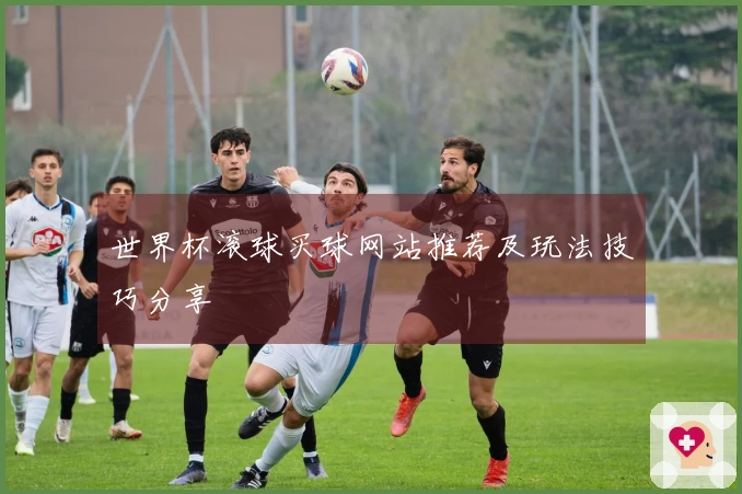 世界杯滚球买球网站推荐及玩法技巧分享